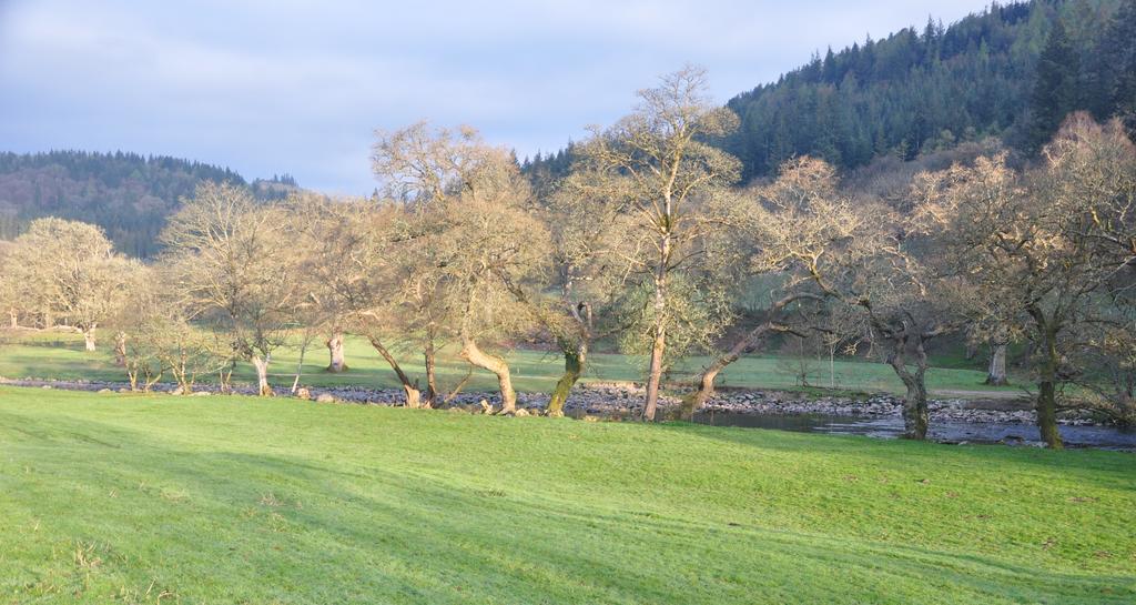 Dragon Bed And Breakfast Betws-y-Coed Exteriér fotografie