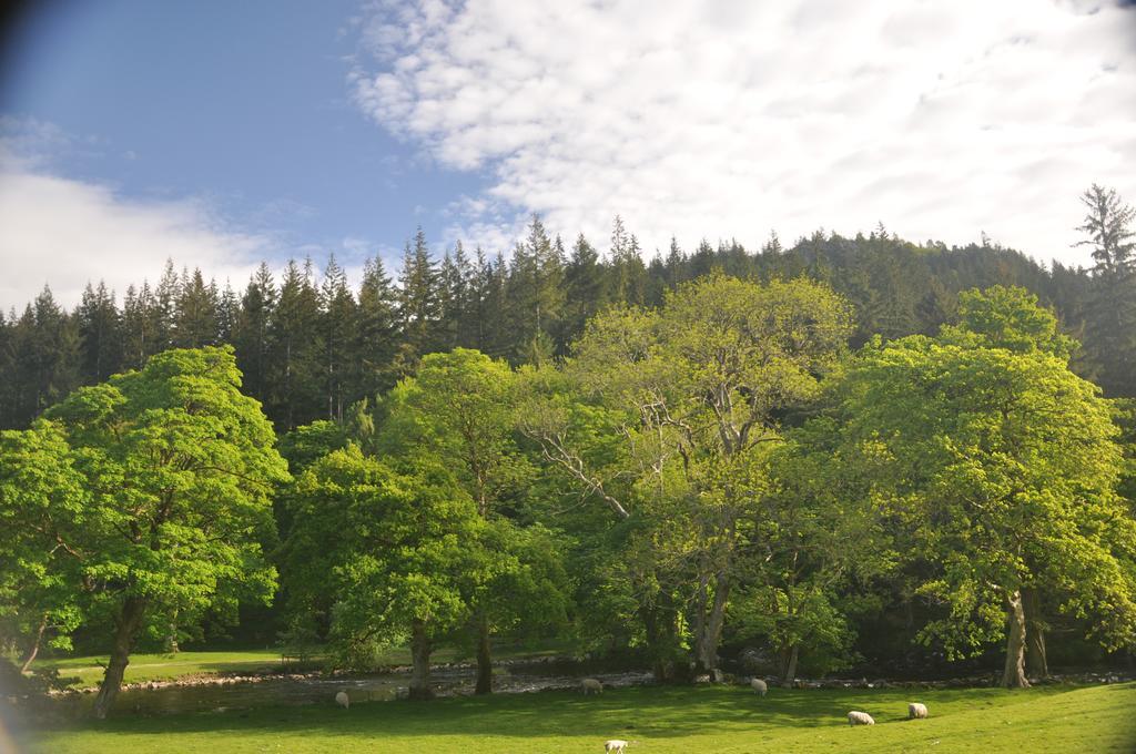 Dragon Bed And Breakfast Betws-y-Coed Exteriér fotografie