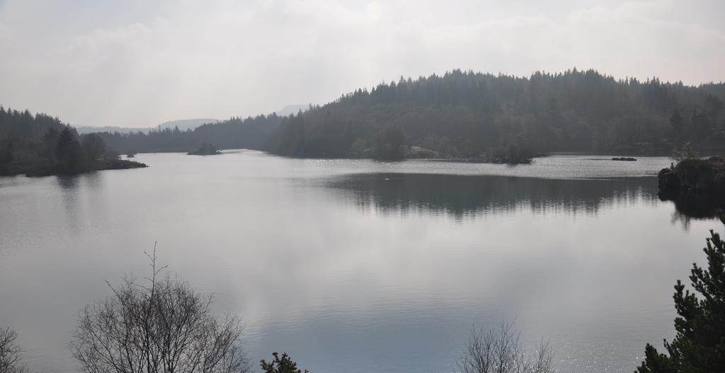 Dragon Bed And Breakfast Betws-y-Coed Exteriér fotografie
